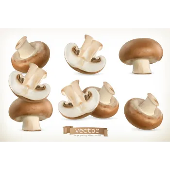 Mushroom (8)-1411905-50675.webp